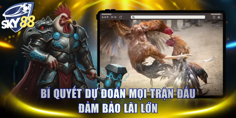 Bí quyết dự đoán mọi trận đấu đảm bảo lãi lớn