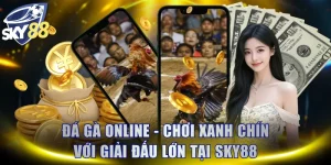 Đá Gà Online - Chơi Xanh Chín Với Giải Đấu Lớn Tại SKY88