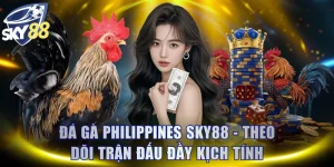 Đá Gà Philippines SKY88 - Theo Dõi Trận Đấu Đầy Kịch Tính